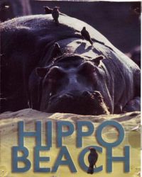 Hippo Beach